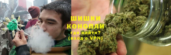 гидропоника Осинники