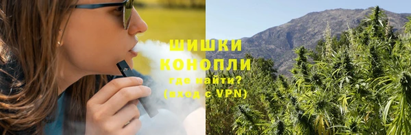 прущий лед Пересвет