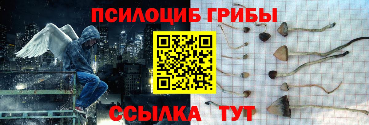 Псилоцибиновые грибы Psilocybine cubensis  Вход с VPN  Клин 