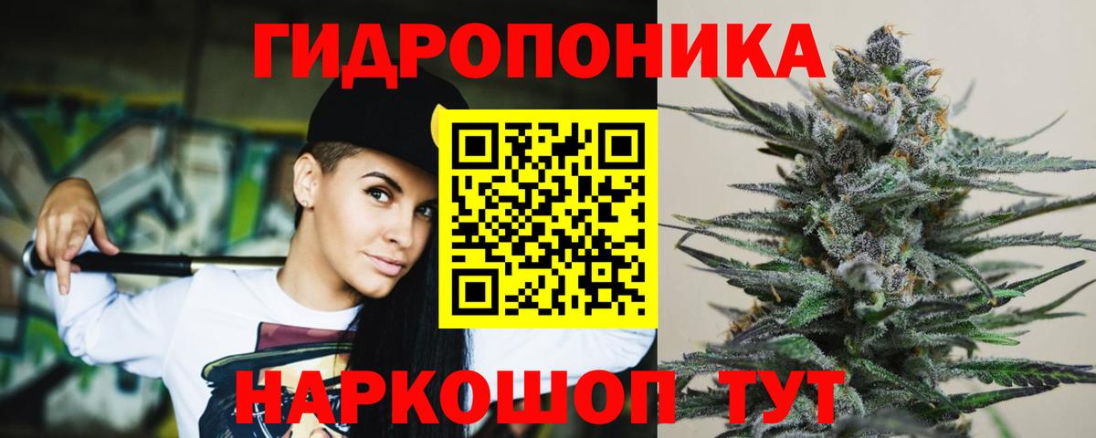 Конопля Bruce Banner Клин